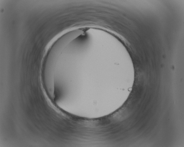 X0000081421518200702092121