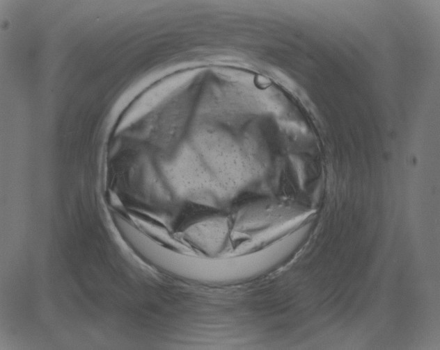 X0000081421520200702092121