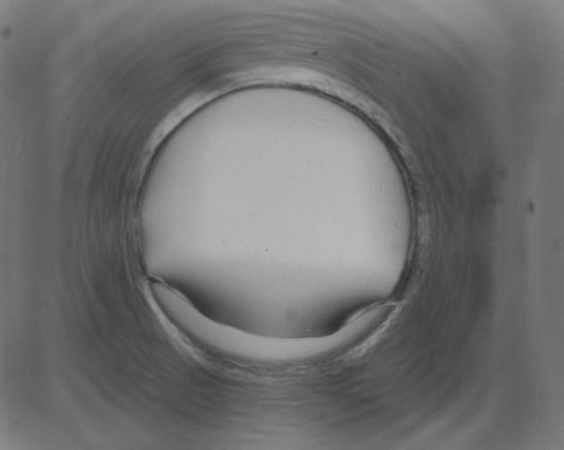 X0000081421521200702092121