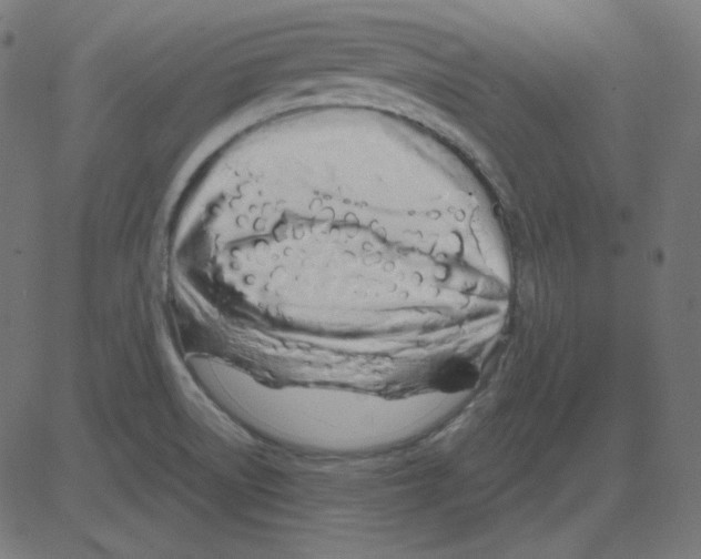 X0000081421522200702092121