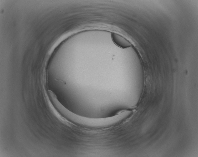 X0000081421523200702092121