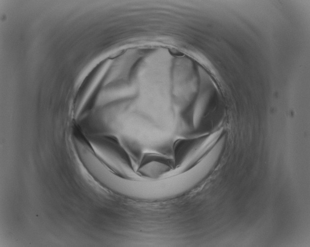 X0000081421524200702092121