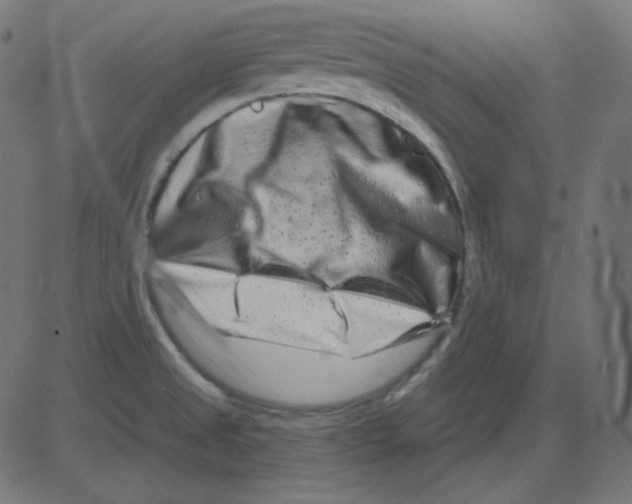 X0000081421525200702092121