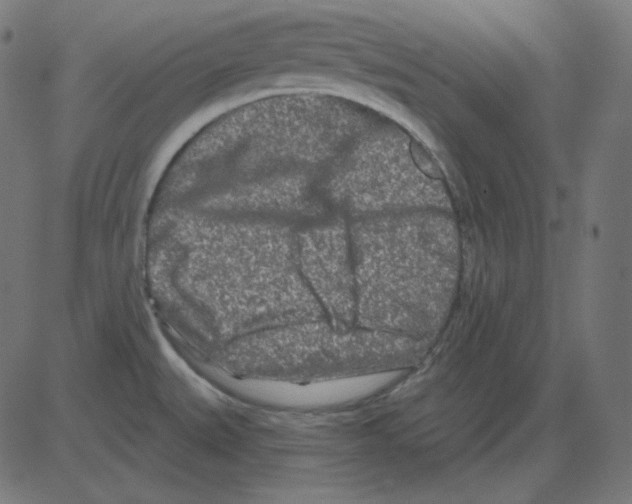 X0000081421527200702092121