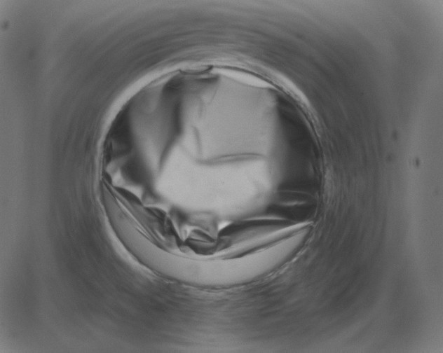 X0000081421528200702092121