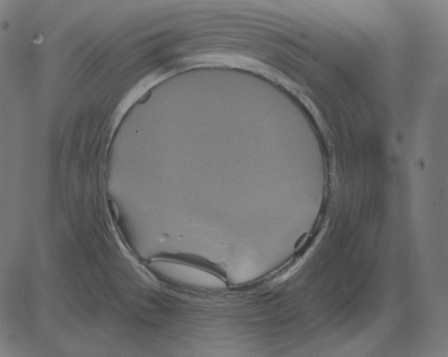 X0000081421529200702092121