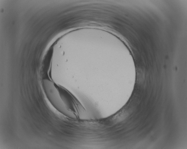 X0000081421531200702092121