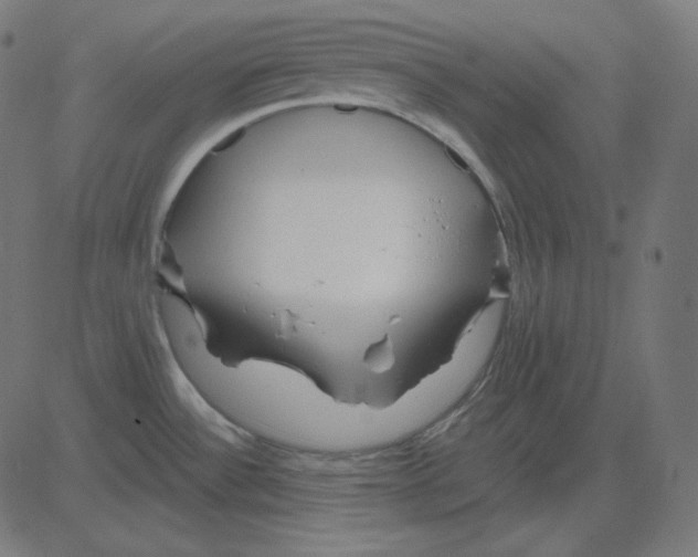 X0000081421532200702092121