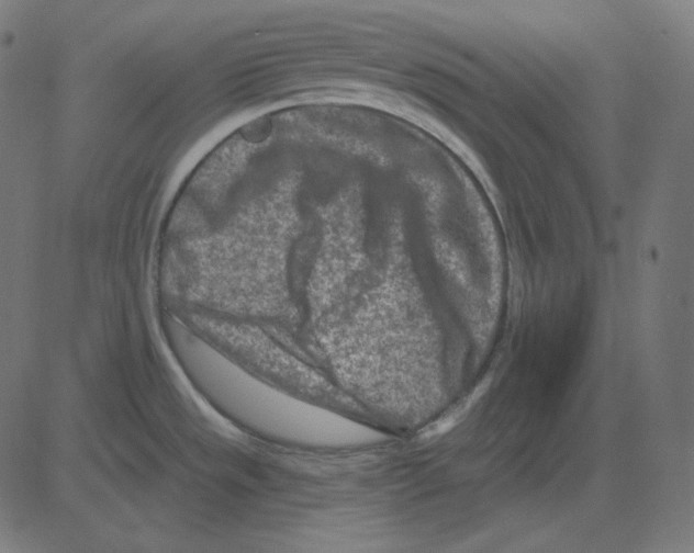 X0000081421533200702092121