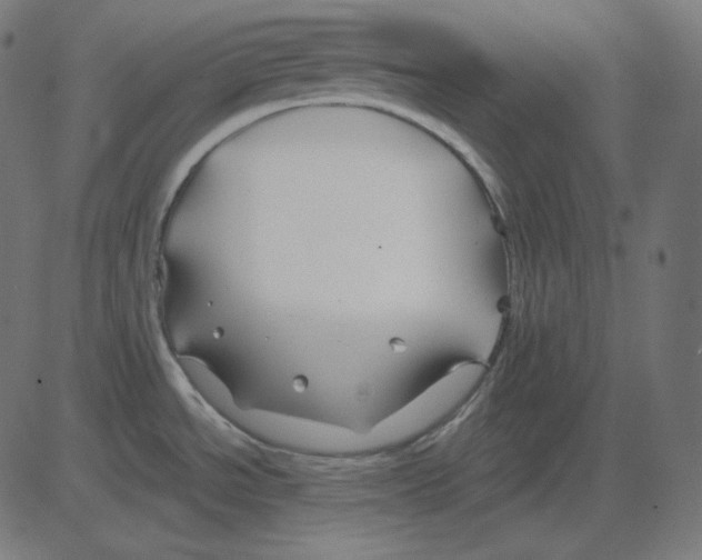 X0000081421534200702092121