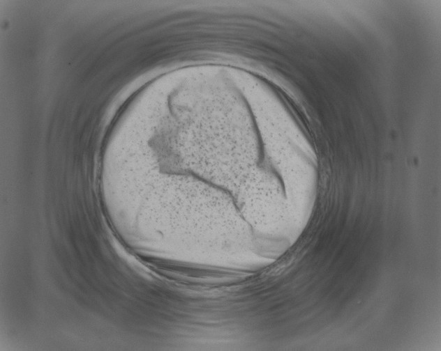 X0000081421535200702092121