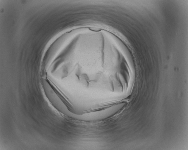 X0000081421536200702092121