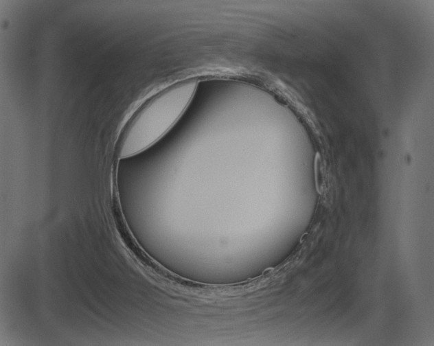 X0000081430011200701120931