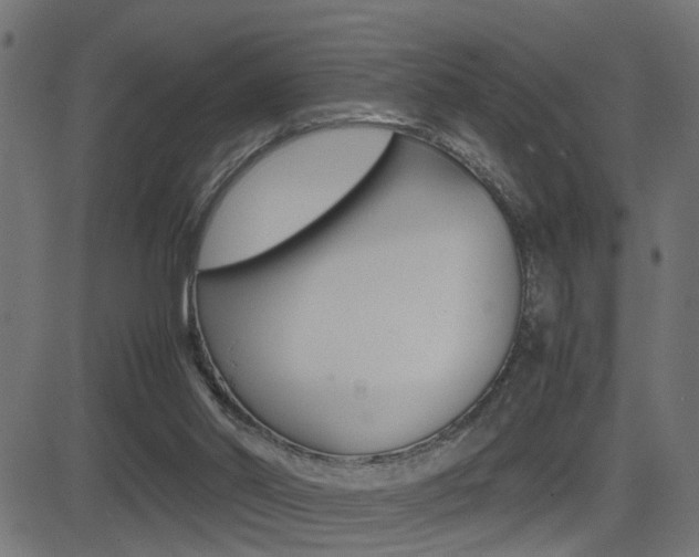 X0000081430014200701120931