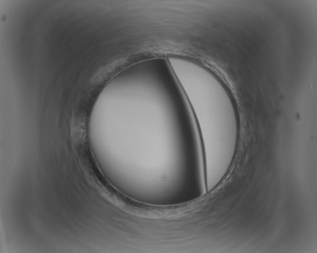 X0000081430017200701120931