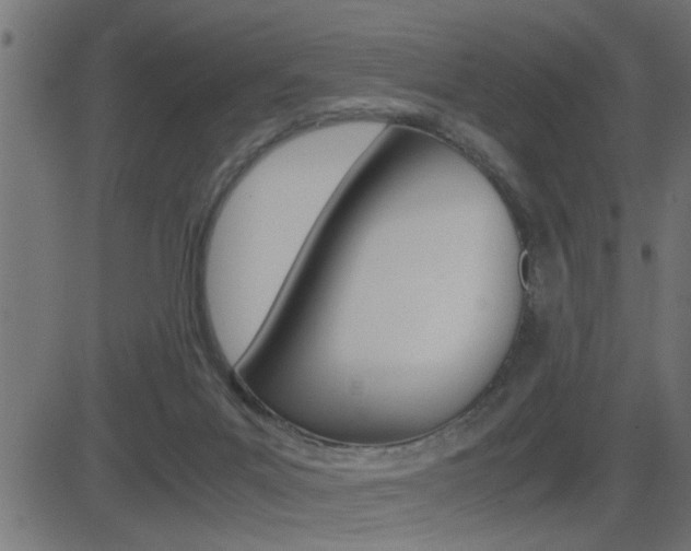 X0000081430023200701120930
