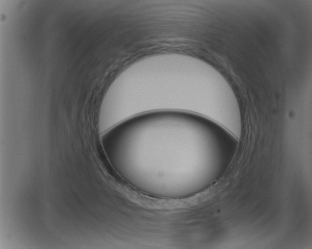 X0000081430031200701120930