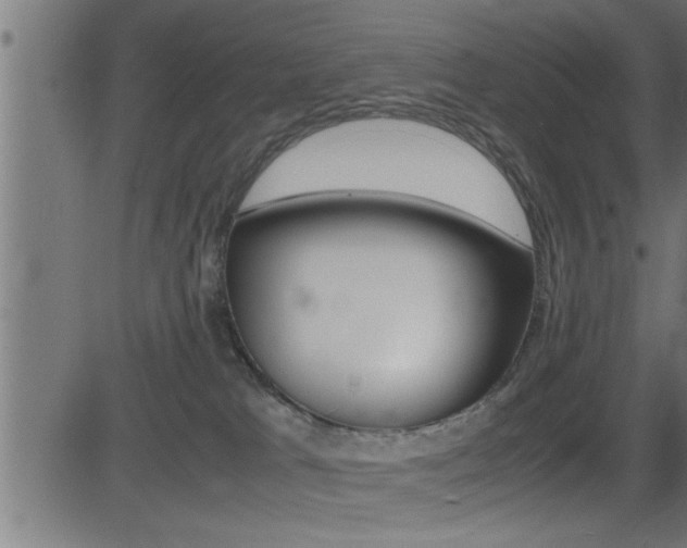 X0000081430037200701120930