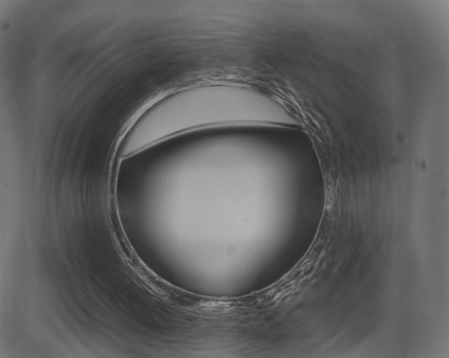 X0000081430052200701120929