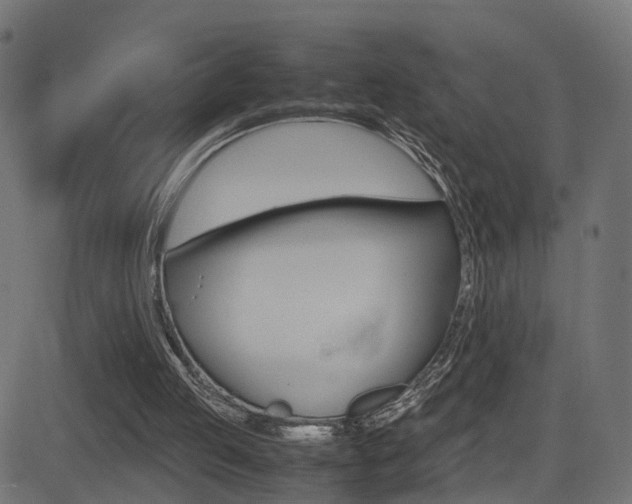 X0000081430053200701120929