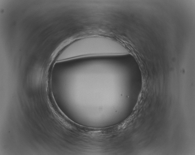X0000081430054200701120929
