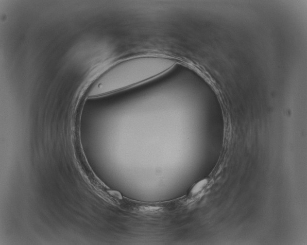 X0000081430055200701120929