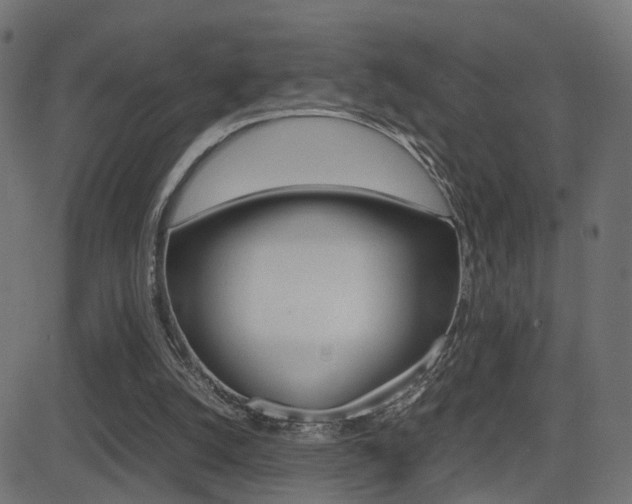 X0000081430056200701120929