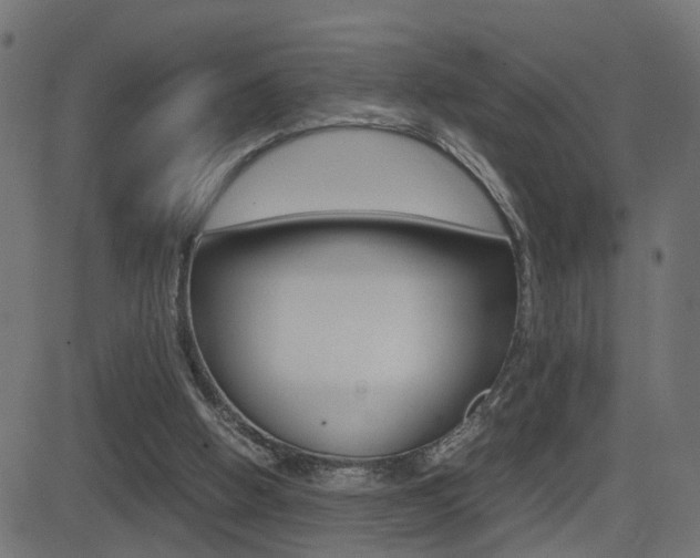 X0000081430058200701120929