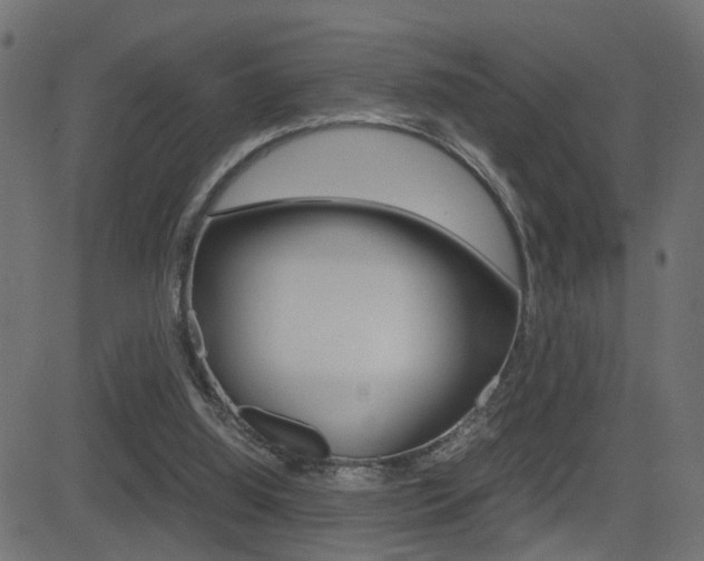 X0000081430060200701120929