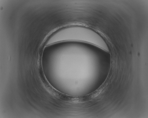X0000081430064200701120930