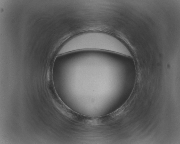 X0000081430068200701120930