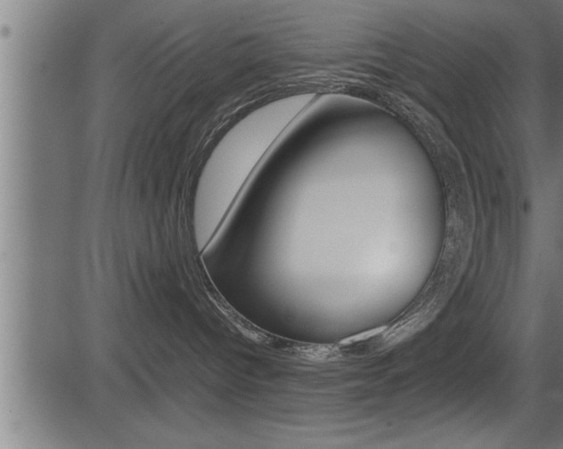 X0000081430096200701120930