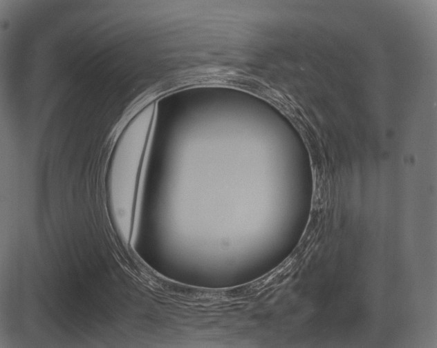 X0000081430099200701120929