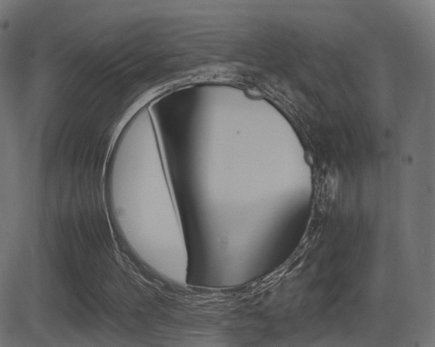 X0000081430100200701120929