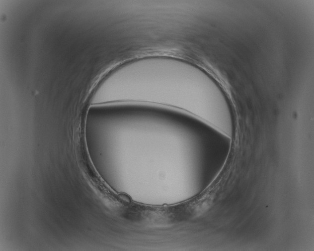 X0000081430107200701120929