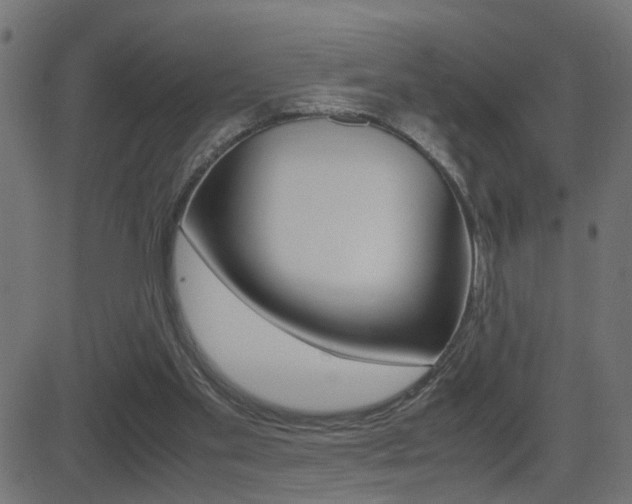 X0000081430109200701120929