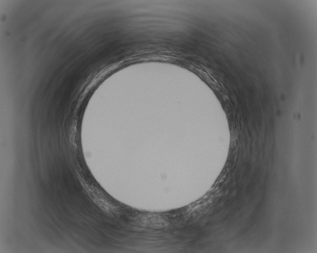 X0000081430146200701120928