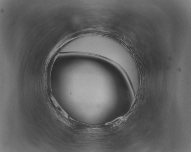 X0000081430150200701120928