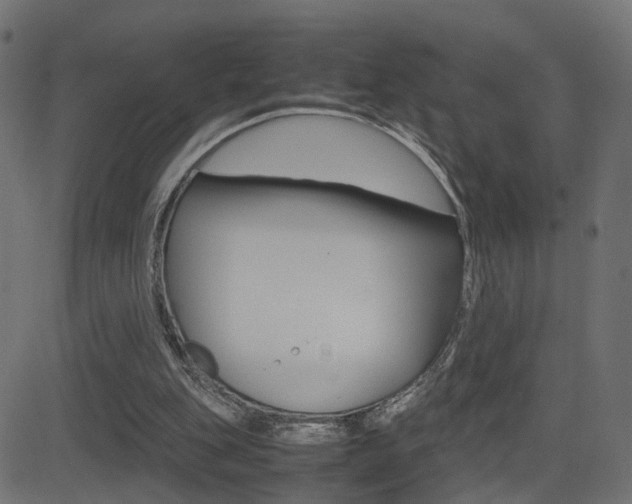 X0000081430151200701120928