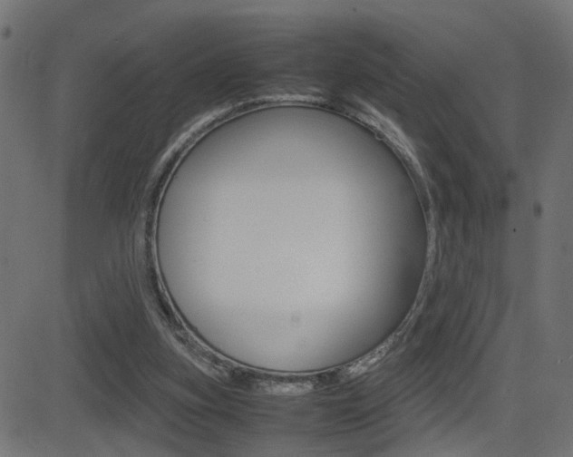 X0000081430155200701120928