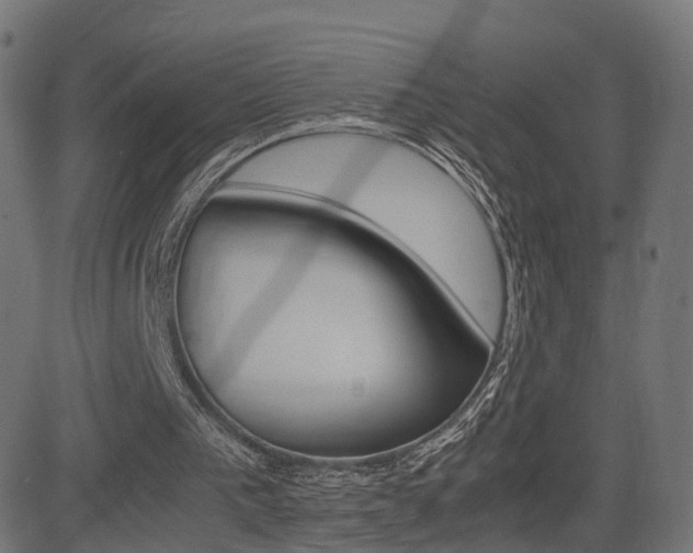 X0000081430193200701120928