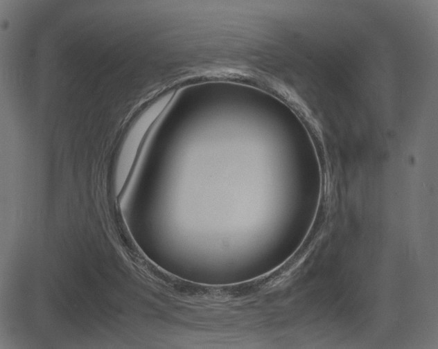 X0000081430201200701120928