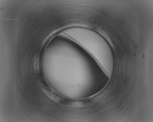 X0000081430204200701120927