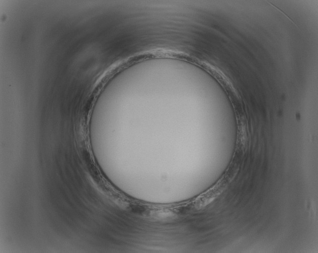 X0000081430208200701120927