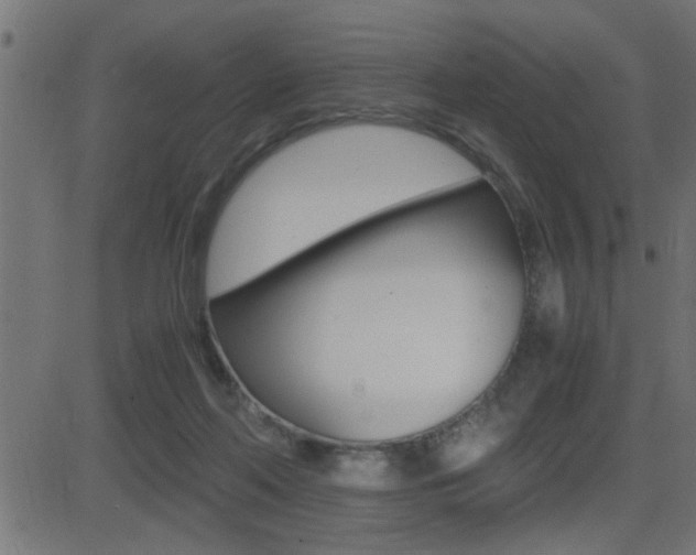 X0000081430214200701120927