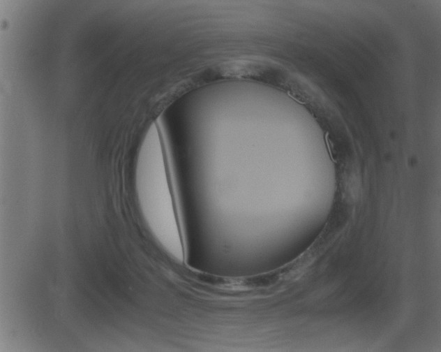 X0000081430219200701120927