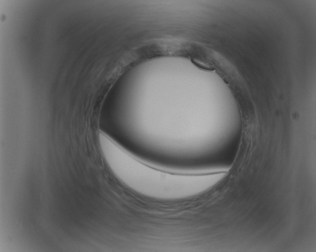 X0000081430221200701120927