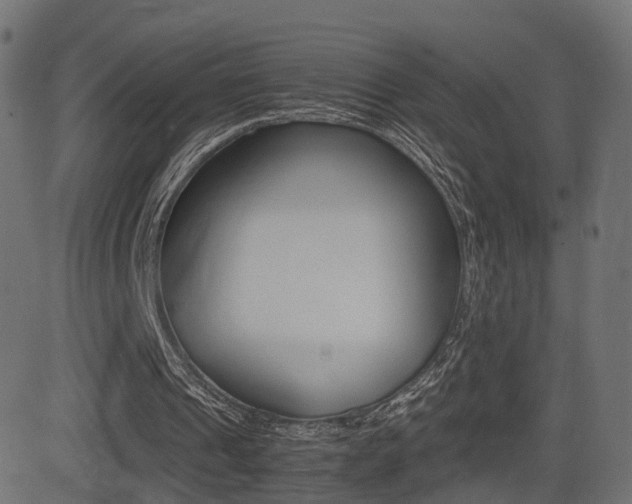 X0000081430241200701120926