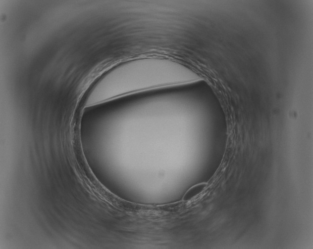 X0000081430242200701120926