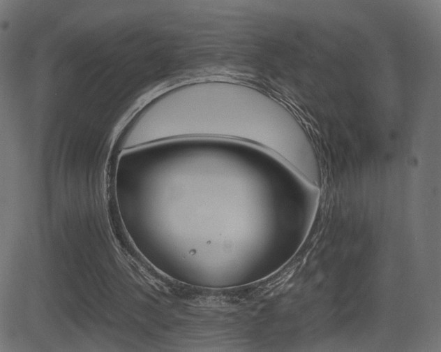 X0000081430244200701120926